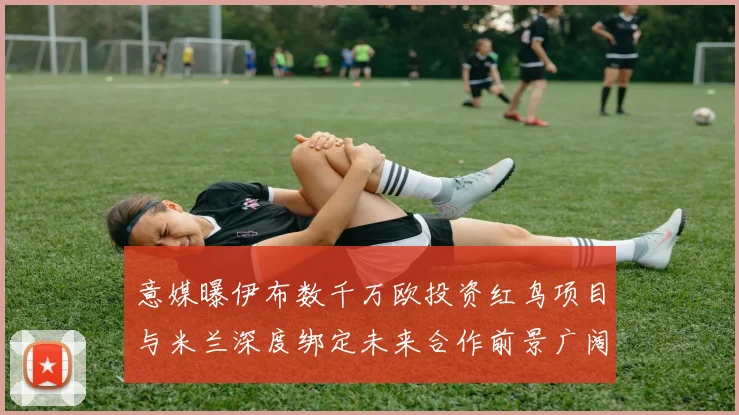 意媒曝伊布数千万欧投资红鸟项目与米兰深度绑定未来合作前景广阔