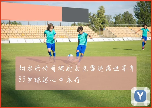 切尔西传奇埃迪麦克雷迪离世享年85岁球迷心中永存