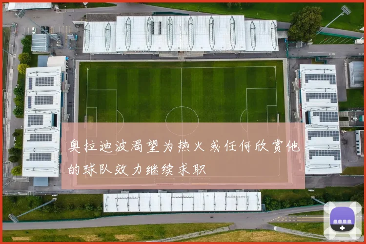 奥拉迪波渴望为热火或任何欣赏他的球队效力继续求职