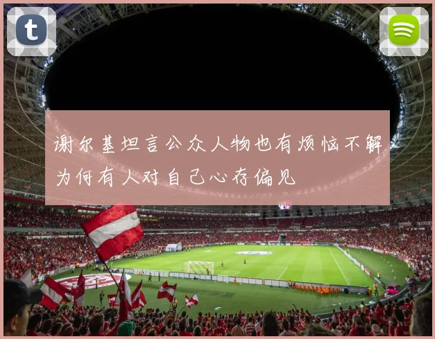 谢尔基坦言公众人物也有烦恼不解为何有人对自己心存偏见