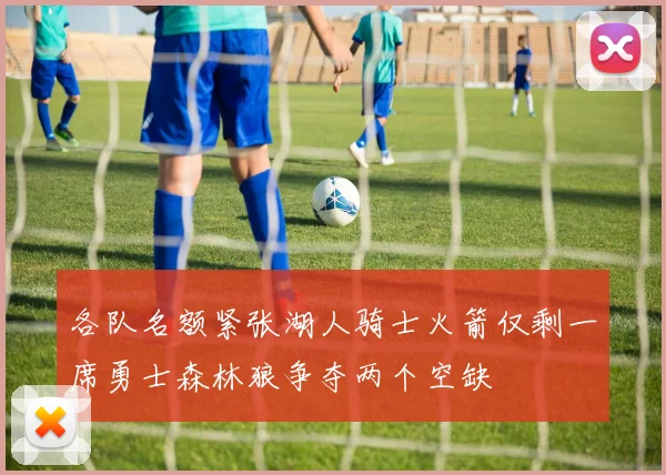 各队名额紧张湖人骑士火箭仅剩一席勇士森林狼争夺两个空缺